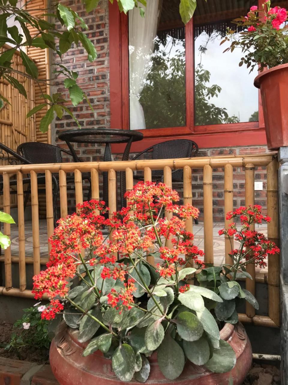 宁平 Tam Coc Tropical Garden酒店 外观 照片