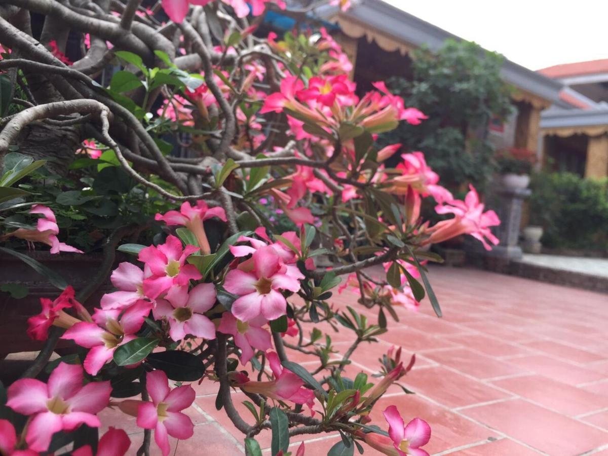 宁平 Tam Coc Tropical Garden酒店 外观 照片